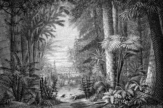 Ideal landscape from the Coal Age, Carboniferous, 350 million years ago, illustration from 1870,