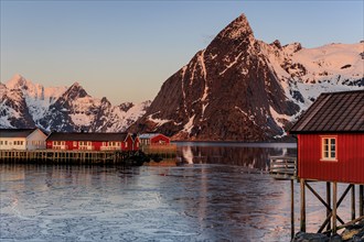 Typical Norwegian houses in fjord in front of steep mountains, sea fog, winter, Reine, Moskenesoya,