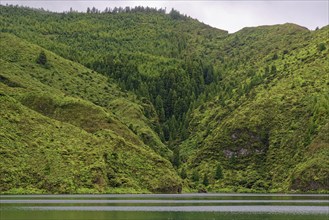 A tranquil lake surrounded by dense, green mountains and forests that create a peaceful and natural