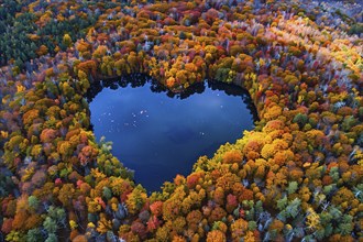 Heart shaped lake in middle of colorful autumn forest. Generative Ai, AI generated