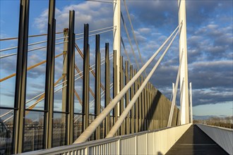 Piers and stay cables of the new motorway bridge of the A40, over the Rhine near Duisburg,