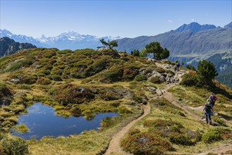 Hiking on the Moranenweg, Riederalp, tourism, hiking, hike, blue sky, Matterhorn, Aletsch Arena,