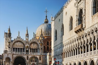 Facade of the Doge's Palace and the Basilica of San Marco on St Mark's Square, city trip, holiday,