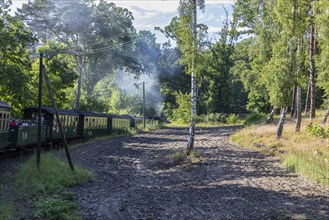 A train spiralling in a sunny forest with thin smoke from the chimney, Rügen, Rasender Roland