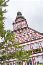 Close-up of a half-timbered house with green plants in front of a church tower, Kirchheim Teck,