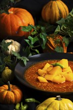 A plate of goulash with pumpkins and green leaves in an autumnal atmosphere, Halloween food