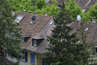 Symbol photo Apartment blocks Old flats Roofs