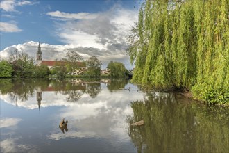 Huttenheim village reflected in a natural tree-lined river in spring. Bas Rhin, Alsace, France,