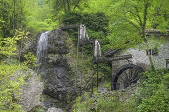 Mill wheel and waterfall at the old mill, Tramonti di Sopra, Province of Pordenone, Italy, Europe