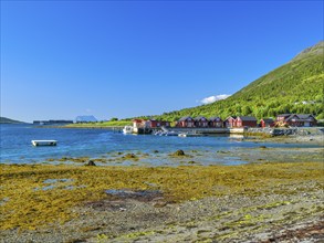 Rorbuer at the Lyngenfjord, Lyngenalps, mountains with snow, blue sky, European North Sea, Troms og