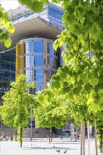 Modern building with glass façade and yellow accents, surrounded by green trees under a clear sky,