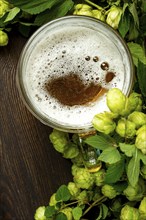 A mug of beer, on a wooden table, with a branch of fresh hops, rustic, no people