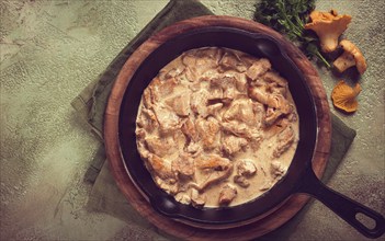 Fried chanterelle mushrooms, in cream sauce, in a cast-iron pan, homemade, no people