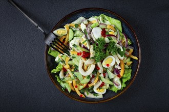 Salad with squid, fresh cucumber, eggs, sweet pepper, red onion, with dressing, homemade, no people