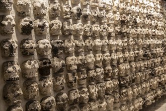 Wall of stone human skulls, archaeological site and museum of Templo Mayor, Mexico City, Mexico,