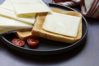 Cheese slices with toast, processed cheese in packaging