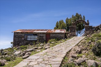 Huillanopampa, Titicaca lake, Puno, Peru, South America