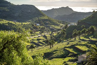 Landscape in the valley of Arure, La Gomera, Canary Islands, Spain, Europe