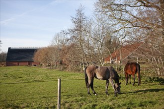 Listed village, Smeerling, Onstwedde, Groningen, Netherlands