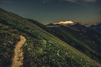 Hiking tour on the Hönig mountain in the Lechtal valley near Berwang in Tyrol, Austria, Europe