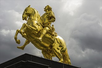 Goldener horse-rider, Dresden, Saxony, Germany, Europe