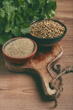 A bunch of fresh cilantro, coriander seeds and powder bowls, close-up, top view, no people, food