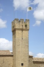 Tower with town flag of the Château de l'Empéri built in the 9th century, historic defence defence