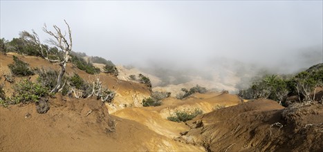 Clouds of fog, yellow earth, erosion, near Arguamul, La Gomera, Canary Islands, Spain, Europe