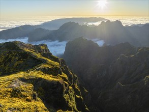 Aerial view at Pico do Arieiro of mountains over clouds with blooming Cytisus shrubs on sunset with