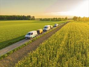 Row of cars on a dirt road along yellow flowering fields at sunset, fibreglass montage, Calw