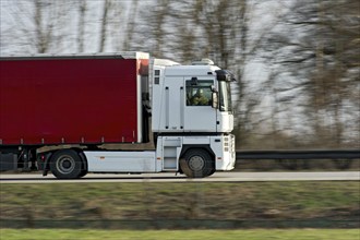 Unconcentrated driver in truck, lorry, articulated lorry driving fast on the A92 motorway, Renault