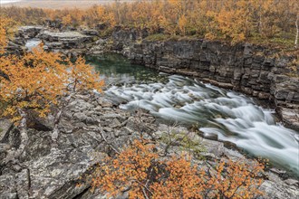 Gorge, canyon, river, rapids, autumn, autumn colours, Abisko Canyon, Abisko National Park, Laponia,