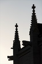 Mythological figures as gargoyles, silhouette, medieval cathedral, Visby Cathedral, St Mary's