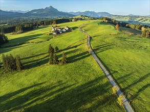 Mountain range near village Wertach, view to mt. Gruenten, sunrise, traditional farm, aerial view,