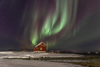 Green and violet northern lights over a red house on the coast, aurora borealis, winter, snow,