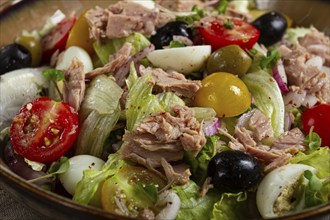 Salad with canned tuna, vegetable salad with quail eggs, lettuce, red onion, cherry tomatoes,