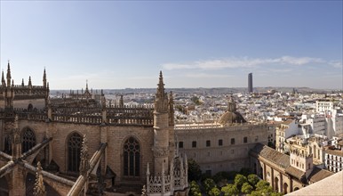 View from a Gothic cathedral of the surrounding city under a blue sky, Seville