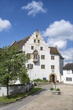 Flower field Castle in Hegau, Tengen, district of Constance, Baden-Württemberg, Germany, Europe