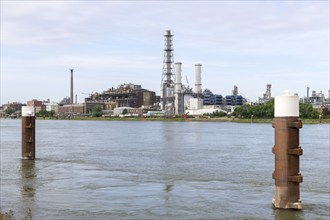 BASF, Lugwigshafen am Rhein, industrial area, Poller, Mannheim, Baden-Württemberg, Germany, Europe