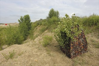 Camouflage tent of a nature photographer in a sand pit, camouflage hiding place, Lake Neusiedl