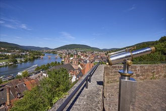 Telescope with mint, River Main and St James' parish church in Miltenberg, Lower Franconia,