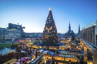 The largest Christmas tree at the Dortmund Christmas market at dusk, Dortmund, North