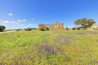 Temple of Hera or Temple E, Selinunte Archaeological Park, Selinunte, Trapani district, Sicily,