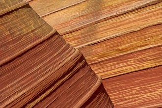 The Wave, impressive sandstone formation with wave-like patterns in various shades of red and