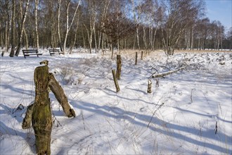 Snowy forest landscape with wooden fence and bench under a blue sky, Zwillbrocker Venn, nature