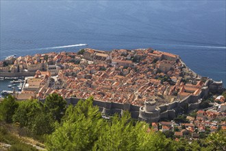 High angle view of old walled city of Dubrovnik with traditional terracotta clay tile rooftop