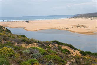 Dune landscape with views of the sea and surrounding vegetation, Praia Bordeira beach, Bordeira