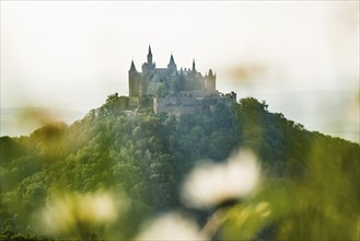 Hohenzollern Castle, Hechingen, Swabian Alb, Baden-Württemberg, Germany, Europe