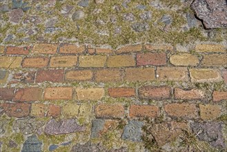 Old pavement, inner courtyard, museum, Darßer Ort, Born a. Darß, Mecklenburg-Vorpommern, Germany,