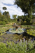 Lotus pond in the Royal Botanic Gardens, Kandy, Central Province, Sri Lanka, Asia